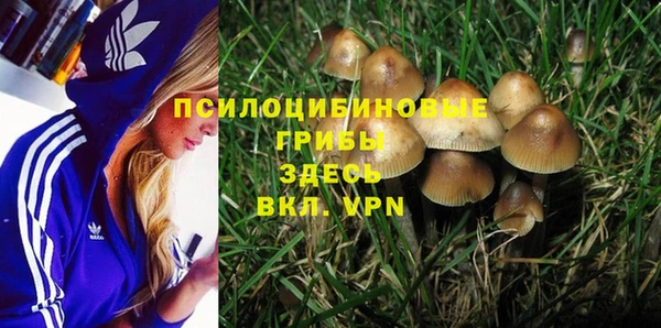 твердый Киренск