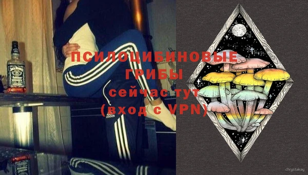 ПСИЛОЦИБИНОВЫЕ ГРИБЫ Кинешма