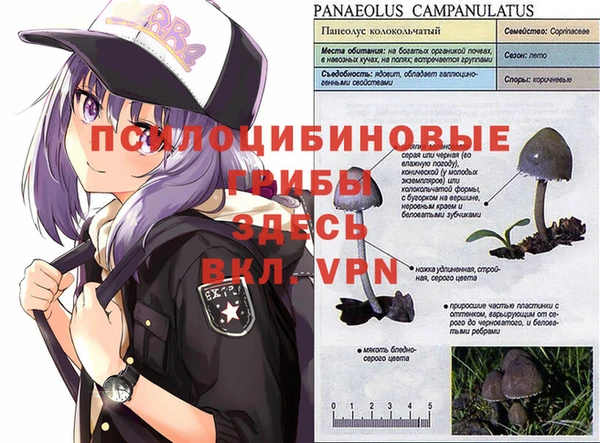 ПСИЛОЦИБИНОВЫЕ ГРИБЫ Кинешма